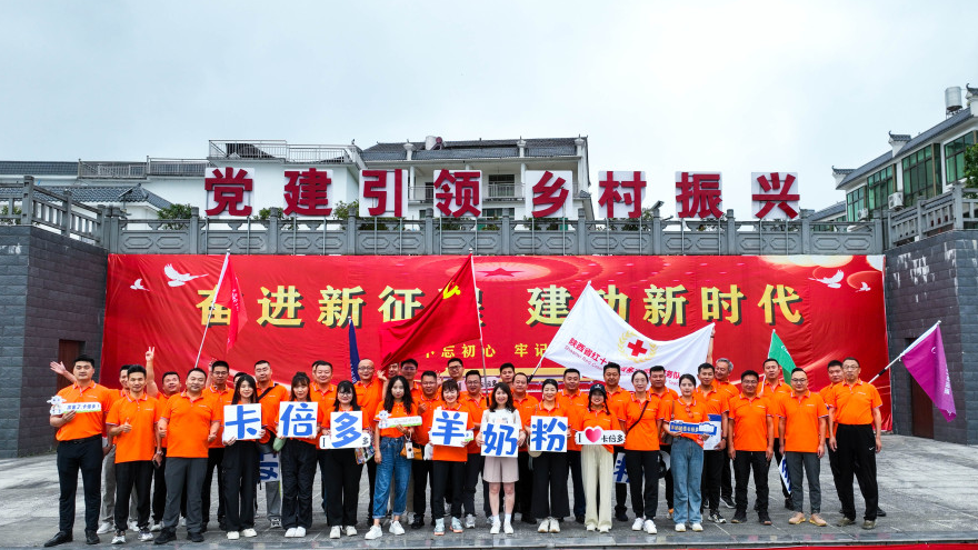 蝌蚪视频在线观看“ 悦运动 不负韶华正青春 拼协作 勇攀高峰向星辰 ” 团建活动暨2023年中总结会议圆满召开