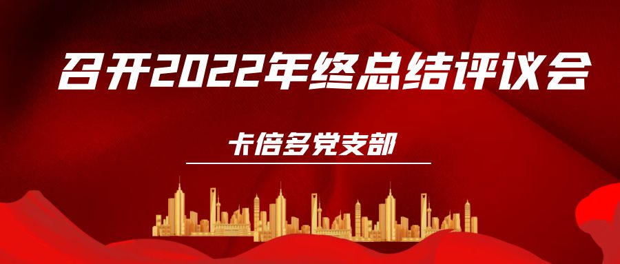 蝌蚪视频在线观看党支部召开2022年终总结评议会