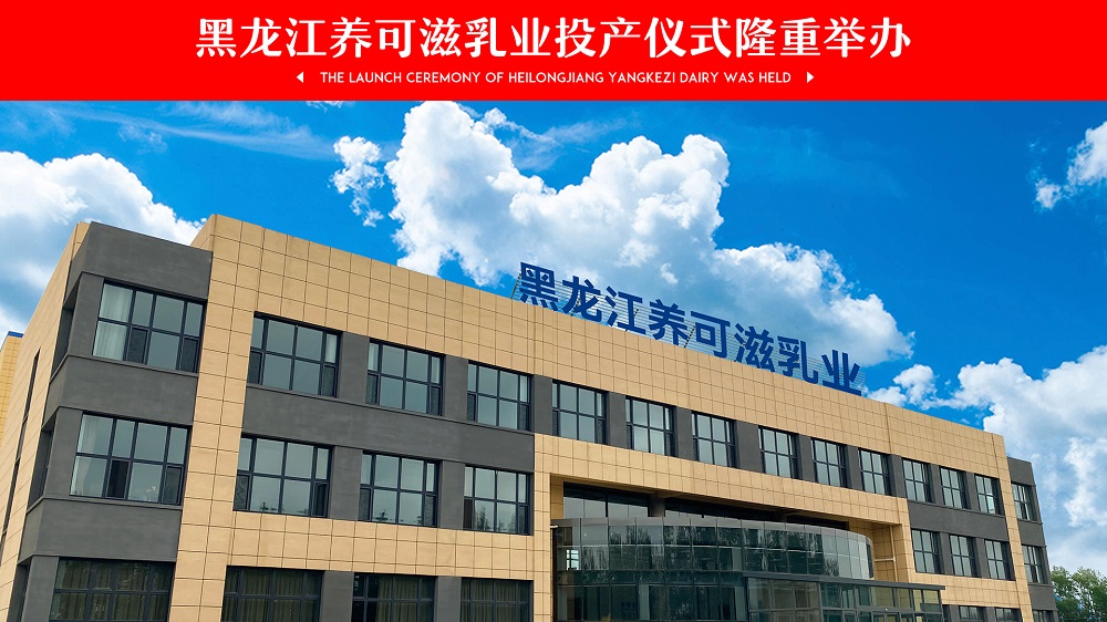 大庆市大同区区委区政府四大班子领导参加，黑龙江养可滋乳业投产仪式隆重举办